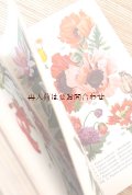 ボタニカル　古本★　カラフルな植物図鑑　ボタニカル　植物画多数　アート　　957点　美　イラスト