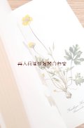 本書はご予約確保品です　ボタニカル　古本★Elsa Felsko -Schölke イラスト　小さなハーブの本　 ヒーリング植物図鑑　　薬草　　 