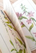 ボタニカル　古本 洋書★　1950年代　水彩ボタニカル　イラスト多数　　ナチュラル　シャビー　夏のお花の本　