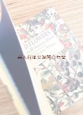 ボタニカル古本☆未使用　コンディション注意☆マーガレット・アースキン・ウィルソン植物図鑑　　季節の野草　植物　　ボタニカルアート　イラスト集