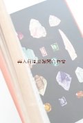 ボタニカル　洋書★1950年の鉱物ガイド　　鉱物650点 　自然　石　ミネラル　ガイド　古書