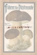 アンティーク☆　キノコ画の素敵な本　1919年　昔のきのこガイド　　キノコ　イラスト　42点　