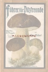 アンティーク☆　キノコ画の素敵な本　1919年　昔のきのこガイド　　キノコ　イラスト　42点　