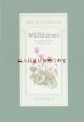 ご予約確保品　ボタニカル 洋古書☆　　草花　野草の本　イラスト　野の植物に関する図鑑　　　植物画　イラスト　多数