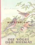 アートな古本★　故郷の鳥図鑑　小鳥　野鳥　ドイツの鳥図鑑　イラスト多数　50年代　