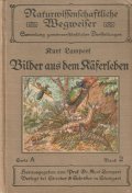 アンティーク洋書　自然科学ガイド　甲虫類の一生　昆虫　　Bilder aus dem Käferleben 　イラストページ有り