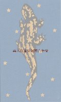 アートな洋書☆Labowski　小説　短編集　幻想的なイラスト　星とサラマンダー柄　リネン表紙　豪華イラストページ付き短編集