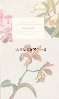 ボタニカル　洋書☆　50年代　ヴィンテージボタニカルブック　欄　美しい蘭の図鑑　植物　水彩イラスト　　24図版　