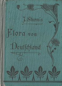 アンティーク　ボタニカルブック★1905年★クロモリトグラフ　 シュトルム　植物　イラスト多数　蘭　イバラモ目、タデ科の植物etc