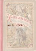アンティーク洋書★　動物界　自然史の本　昆虫　ナチュラル　イラスト多数　博物誌　ナチュラルヒストリー　