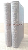 アンティーク古書2冊組★ 素敵な背表紙デザイン　チャールズ・ディッケンズ　ドイツ語版　エンボス　イラストの美しいアンティーク　