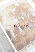 リクエスト確保品　アートな古本洋書☆世界のオルガン集　鍵盤楽器　教会　　パイプオルガンコレクション　