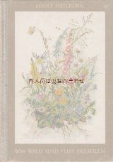 アンティーク★貴重　森と草原の物語　ボタニカル　小動物　イラストの美しいアンティーク 1948年　