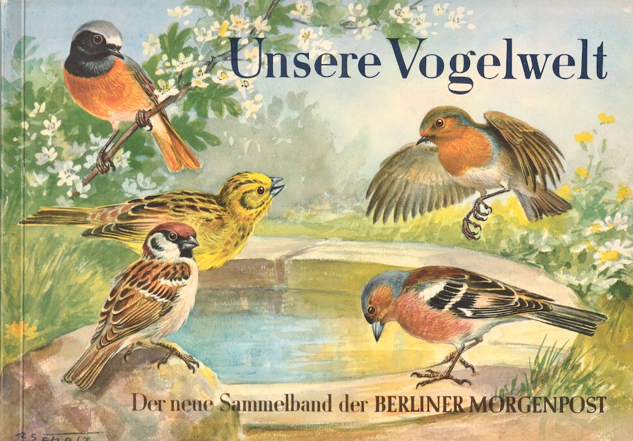 アートな古本★　自然　野鳥　小鳥　可愛い鳥と植物の本　イラスト多数　50年代　図鑑