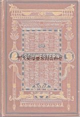 画像: アンティーク洋書　豪華な装丁の歴史小説　１８８０年　　