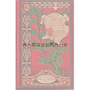 画像: アンティーク洋書 　イラスト　小説　豪華なパリの古書