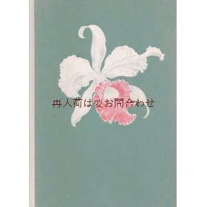 画像: 楽しい古本☆　熱帯　植物解説　図鑑タイプ　蘭等　　DDR