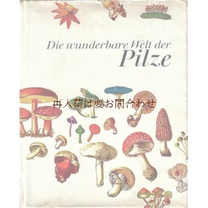 画像: 楽しい古本☆　大きな　キノコ　図鑑　イラスト　多数　