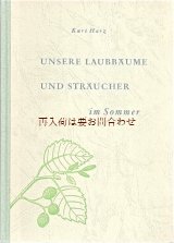 画像: 楽しい古本★  葉っぱの本　広葉樹　低木　５０年代　イラスト　図鑑