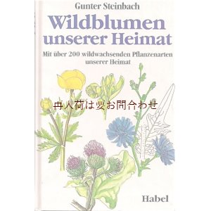 画像: 楽しい古本★野生植物種　Wildblumen イラスト　解説　８０年代