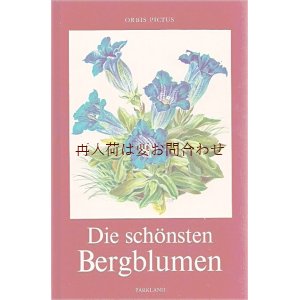 画像: 　楽しい古本★　美しい　山のお花の本　　ボタニカル　アート　　高山植物　　　カラー　イラスト