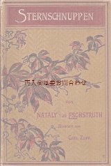 画像: アンティーク洋書★アンティーク洋書★　物語　挿絵のすてきな古書 Sterschnuppen