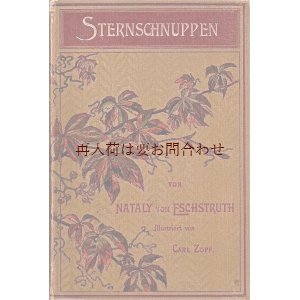 画像: アンティーク洋書★アンティーク洋書★　物語　挿絵のすてきな古書 Sterschnuppen