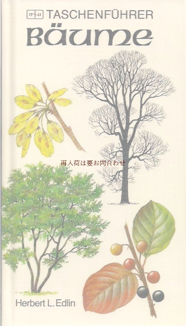 画像1: 楽しい古本★　庭　野原　森の木の本　　図鑑　ナチュラル　ガイド