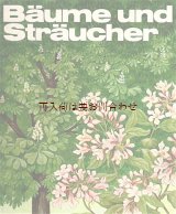 画像: 楽しい古本★　木と低木の本   ８０年代植物図鑑　 イラストの素敵な本　