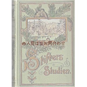 画像: アンティーク洋書★　小鳥と山の絵の素敵な古書　　Studien