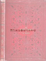 画像: アンティーク洋書　☆　模様の素敵な小説　Die Familie Buchholz 　1885年