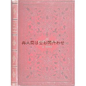 画像: アンティーク洋書　☆　模様の素敵な小説　Die Familie Buchholz 　1885年