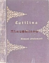 画像: アンティーク洋書☆　模様の素敵な小説　Calitilina 　1886年