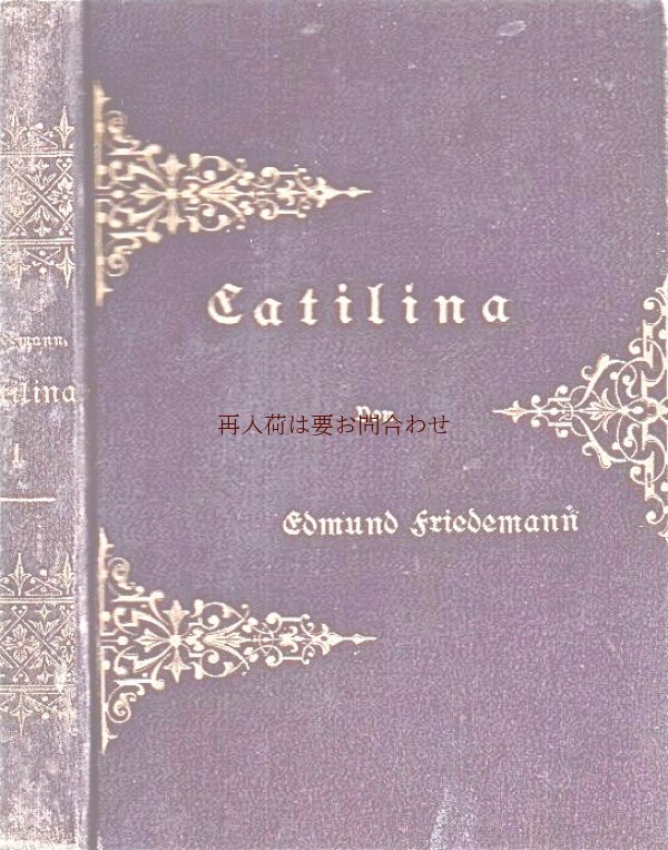 画像1: アンティーク洋書☆　模様の素敵な小説　Calitilina 　1886年