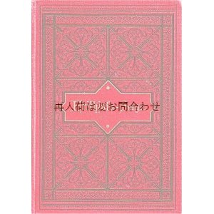 画像: アンティーク洋書☆　Friðþjófs saga 　北欧英雄伝説　　ドイツ語訳版