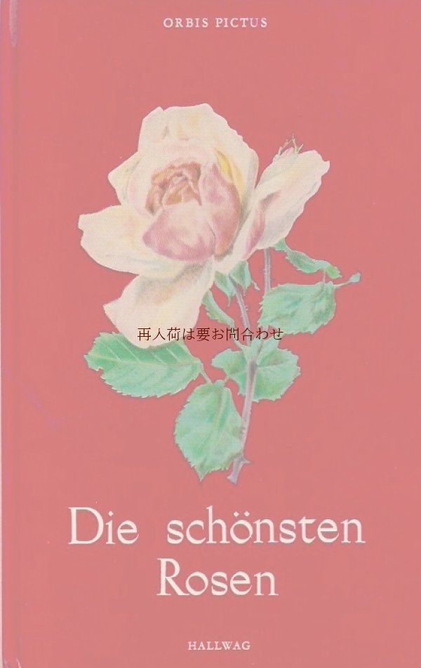 画像1: 楽しい古本☆　最も美しい薔薇達の本　バラ　図鑑　イラスト　アート　　
