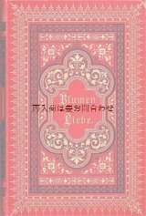 画像: アンティーク洋書★1895年　　美装丁本　　豪華な赤い詩集　三方金　Blumen der Liebe 　