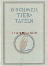 画像: 楽しい古本★ 　　動物　生物　　自然科学　解剖　図鑑  　イラスト多数　★閲覧注意 