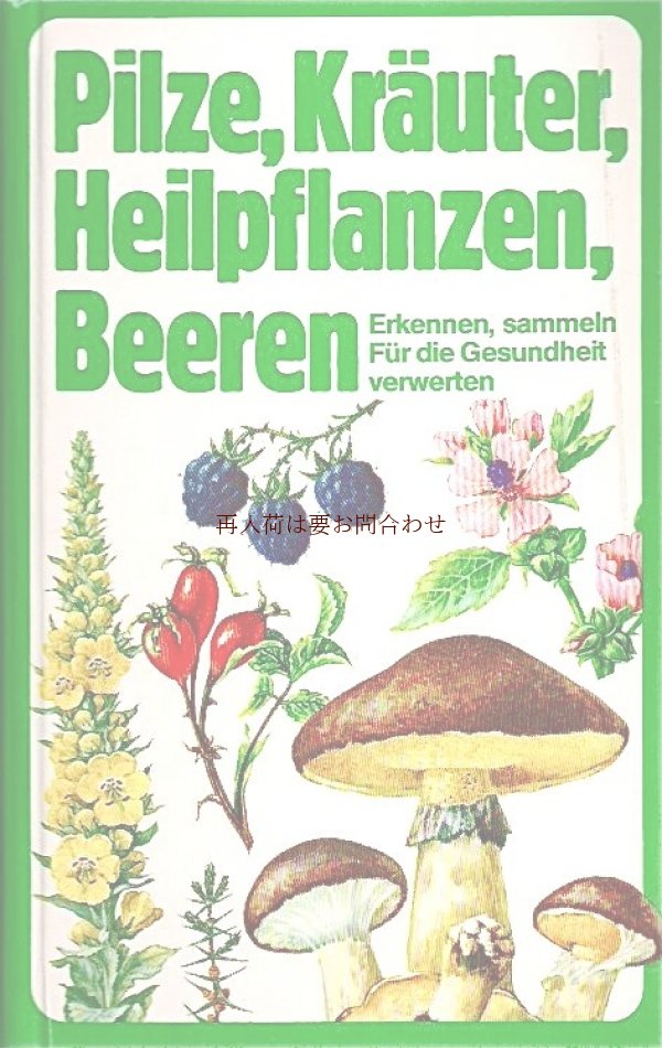 画像1: 楽しい古本★　 ハーブ　キノコ　ベリーの本　図鑑　植物画　　250点　イラスト多数