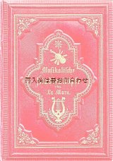 画像: アンティーク洋書☆　楽器柄　バイオリン柄　深い立体模様の素敵な古書  音楽史　研究　ドイツ国外の作曲家