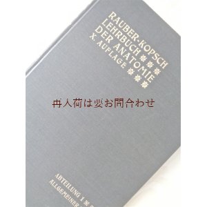 画像: アンティーク洋書★ 解剖学　教科書　図解 イラスト多数　1914年　