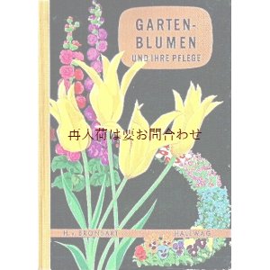 画像: 楽しい古本洋書☆　レトロなお花イラスト　植物画　　スイス　お庭の花々とケア　ガーデン　