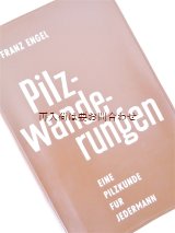 画像: 楽しい古本☆　ビニールの表紙　レトロ　きのこ図鑑　70年代　キノコ