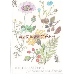 画像: ボタニカル古本★　小さなハーブ図鑑　　薬草　カラフル　かわいい古書　ボタニカル　イラスト　