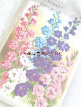 画像: アンティーク☆　素敵な花柄の小冊子　ガーデニング　　お花のカタログ　