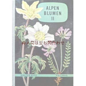 画像: 楽しい古本洋書☆　アルプスの植物II　植物画　　スイス　高山植物図鑑　ボタニカル　アート