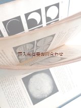 画像: アンティーク☆　1912年　　天文　宇宙　惑星の本　　太陽系　イラスト　図版　