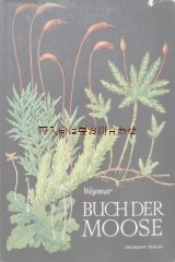 画像: 楽しい古本★　イラスト多数　植物図鑑　コケ植物　60年代  ボタニカル　イラスト　多数