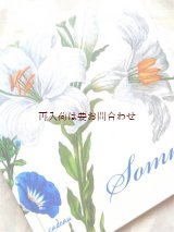 画像: 　楽しい洋書★　挿絵の美しい　詩集　　マリア　ジビーラ　メーリアン　イラスト付