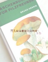 画像: 楽しい古本☆　キノコの本　カラー図版　　採取　アドバイス本   レトロ　70年代　